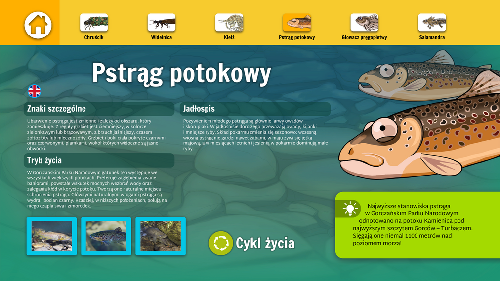 Interaktywne materiały edukacyjne